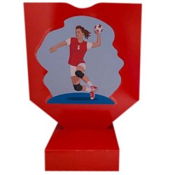 Sangskjuler hndbold pige