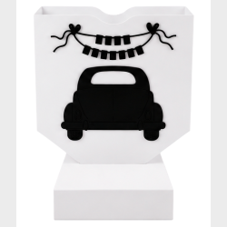 Sangskjuler bil / just married